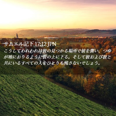 Picture 02 - サムエル記下 17:12 JPN - こうしてわれわれは彼の見つかる場 - Bible Verse Picture