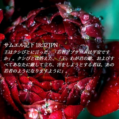 Picture 02 - サムエル記下 18:32 JPN - 王はクシびとに言った、「若者アブ - Bible Verse Picture