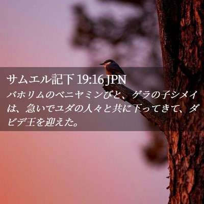 Picture 02 - サムエル記下 19:16 JPN - バホリムのベニヤミンびと、ゲラの - Bible Verse Picture
