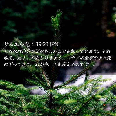 Picture 02 - サムエル記下 19:20 JPN - しもべは自分が罪を犯したことを知 - Bible Verse Picture