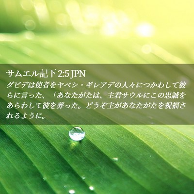 Picture 02 - サムエル記下 2:5 JPN - ダビデは使者をヤベシ・ギレアデの - Bible Verse Picture