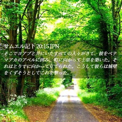 Picture 02 - サムエル記下 20:15 JPN - そこでヨアブと共にいたすべての人 - Bible Verse Picture