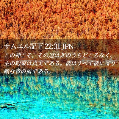 Picture 02 - サムエル記下 22:31 JPN - この神こそ、その道は非のうちどこ - Bible Verse Picture