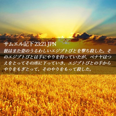 Picture 02 - サムエル記下 23:21 JPN - 彼はまた姿のうるわしいエジプトび - Bible Verse Picture
