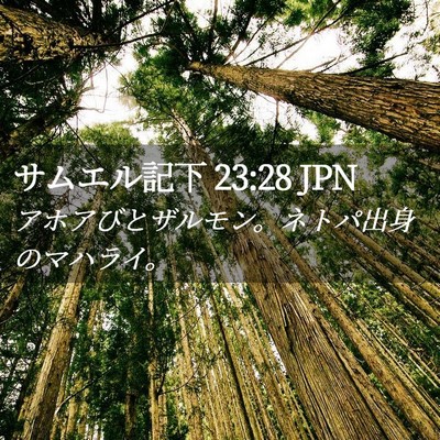 Picture 02 - サムエル記下 23:28 JPN - アホアびとザルモン。ネトパ出身の - Bible Verse Picture