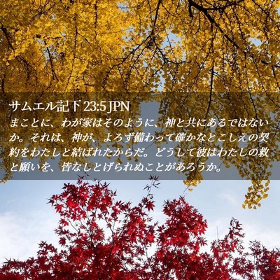 Picture 02 - サムエル記下 23:5 JPN - まことに、わが家はそのように、神 - Bible Verse Picture