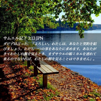 Picture 02 - サムエル記下 3:13 JPN - ダビデは言った、「よろしい。わた - Bible Verse Picture