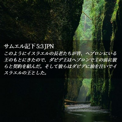 Picture 02 - サムエル記下 5:3 JPN - このようにイスラエルの長老たちが - Bible Verse Picture