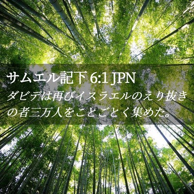 Picture 02 - サムエル記下 6:1 JPN - ダビデは再びイスラエルのえり抜き - Bible Verse Picture