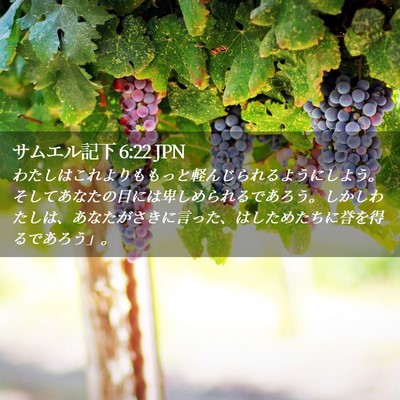 Picture 02 - サムエル記下 6:22 JPN - わたしはこれよりももっと軽んじら - Bible Verse Picture