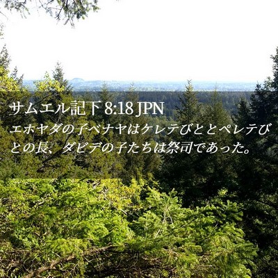 Picture 02 - サムエル記下 8:18 JPN - エホヤダの子ベナヤはケレテびとと - Bible Verse Picture