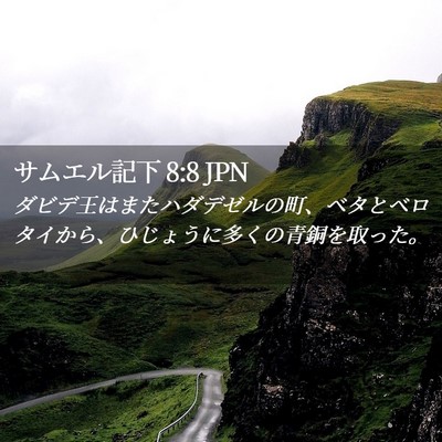Picture 02 - サムエル記下 8:8 JPN - ダビデ王はまたハダデゼルの町、ベ - Bible Verse Picture