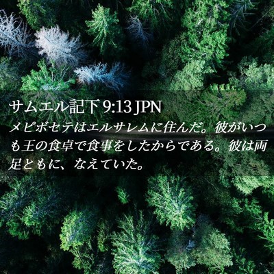 Picture 02 - サムエル記下 9:13 JPN - メピボセテはエルサレムに住んだ。 - Bible Verse Picture