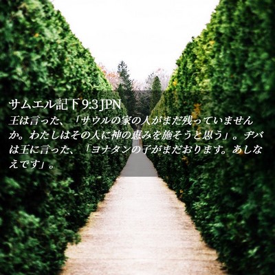 Picture 02 - サムエル記下 9:3 JPN - 王は言った、「サウルの家の人がま - Bible Verse Picture