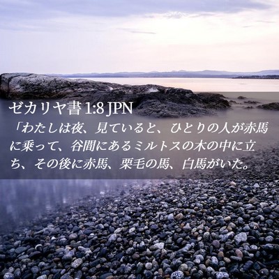 Picture 02 - ゼカリヤ書 1:8 JPN - 「わたしは夜、見ていると、ひとり - Bible Verse Picture