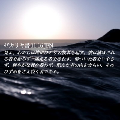 Picture 02 - ゼカリヤ書 11:16 JPN - 見よ、わたしは地にひとりの牧者を - Bible Verse Picture