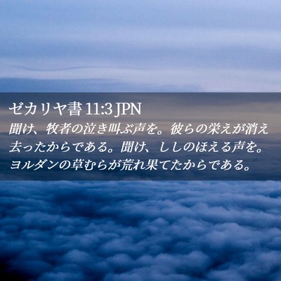 Picture 02 - ゼカリヤ書 11:3 JPN - 聞け、牧者の泣き叫ぶ声を。彼らの - Bible Verse Picture