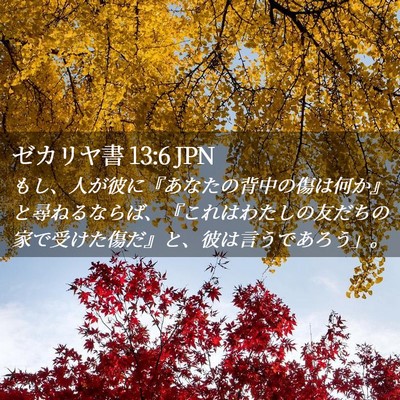 Picture 02 - ゼカリヤ書 13:6 JPN - もし、人が彼に『あなたの背中の傷 - Bible Verse Picture
