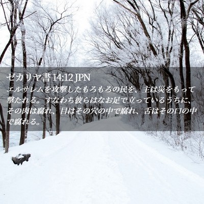 Picture 02 - ゼカリヤ書 14:12 JPN - エルサレムを攻撃したもろもろの民 - Bible Verse Picture