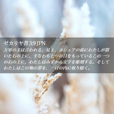 Picture 02 - ゼカリヤ書 3:9 JPN - 万軍の主は言われる、見よ、ヨシュ - Bible Verse Picture