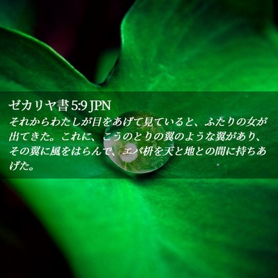 Picture 02 - ゼカリヤ書 5:9 JPN - それからわたしが目をあげて見てい - Bible Verse Picture