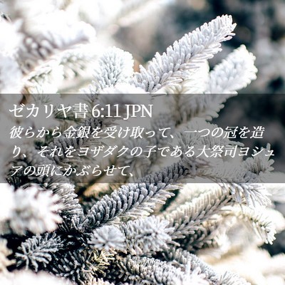 Picture 02 - ゼカリヤ書 6:11 JPN - 彼らから金銀を受け取って、一つの - Bible Verse Picture