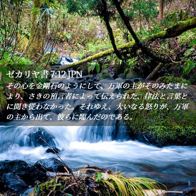 Picture 02 - ゼカリヤ書 7:12 JPN - その心を金剛石のようにして、万軍 - Bible Verse Picture