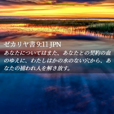 Picture 02 - ゼカリヤ書 9:11 JPN - あなたについてはまた、あなたとの - Bible Verse Picture