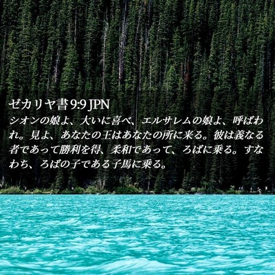 Picture 02 - ゼカリヤ書 9:9 JPN - シオンの娘よ、大いに喜べ、エルサ - Bible Verse Picture