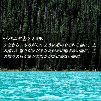 Picture 02 - ゼパニヤ書 2:2 JPN - すなわち、もみがらのように追いや - Bible Verse Picture