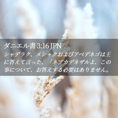Picture 02 - ダニエル書 3:16 JPN - シャデラク、メシャクおよびアベデ - Bible Verse Picture