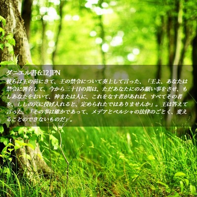 Picture 02 - ダニエル書 6:12 JPN - 彼らは王の前にきて、王の禁令につ - Bible Verse Picture