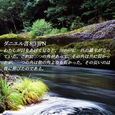 Picture 02 - ダニエル書 8:3 JPN - わたしが目をあげて見ると、川の岸 - Bible Verse Picture