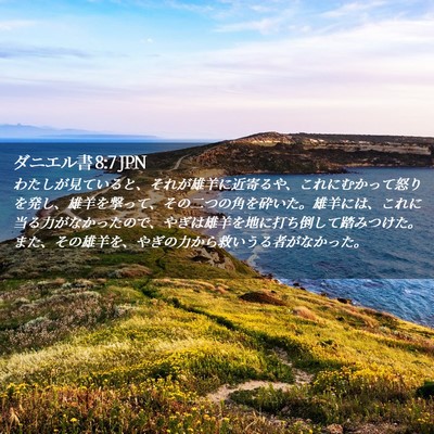 Picture 02 - ダニエル書 8:7 JPN - わたしが見ていると、それが雄羊に - Bible Verse Picture