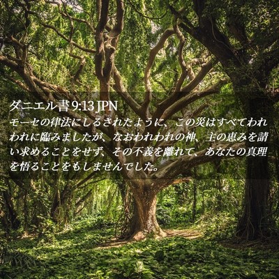 Picture 02 - ダニエル書 9:13 JPN - モーセの律法にしるされたように、 - Bible Verse Picture