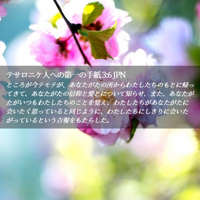 Picture 02 - テサロニケ人への第一の手紙 3:6 JPN - ところが今テモテが、あなたがたの - Bible Verse Picture
