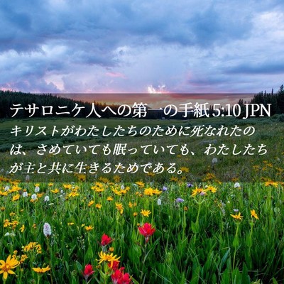 Picture 02 - テサロニケ人への第一の手紙 5:10 JPN - キリストがわたしたちのために死な - Bible Verse Picture