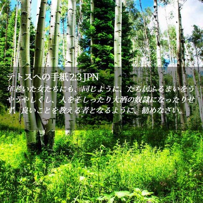 Picture 02 - テトスヘの手紙 2:3 JPN - 年老いた女たちにも、同じように、 - Bible Verse Picture