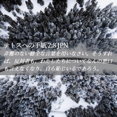 Picture 02 - テトスヘの手紙 2:8 JPN - 非難のない健全な言葉を用いなさい - Bible Verse Picture