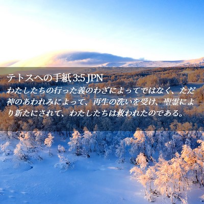 Picture 02 - テトスヘの手紙 3:5 JPN - わたしたちの行った義のわざによっ - Bible Verse Picture