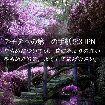 Picture 02 - テモテヘの第一の手紙 5:3 JPN - やもめについては、真にたよりのな - Bible Verse Picture