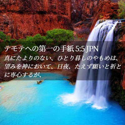 Picture 02 - テモテヘの第一の手紙 5:5 JPN - 真にたよりのない、ひとり暮しのや - Bible Verse Picture