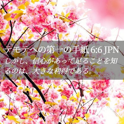 Picture 02 - テモテヘの第一の手紙 6:6 JPN - しかし、信心があって足ることを知 - Bible Verse Picture