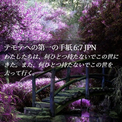 Picture 02 - テモテヘの第一の手紙 6:7 JPN - わたしたちは、何ひとつ持たないで - Bible Verse Picture