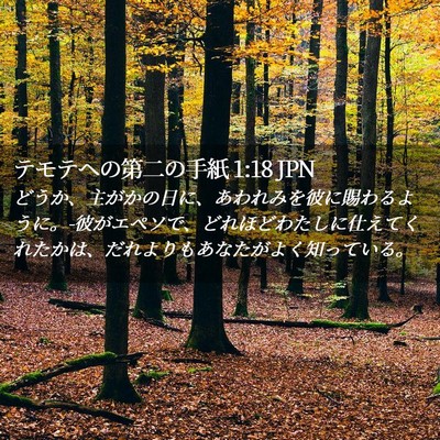 Picture 02 - テモテヘの第二の手紙 1:18 JPN - どうか、主がかの日に、あわれみを - Bible Verse Picture