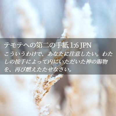 Picture 02 - テモテヘの第二の手紙 1:6 JPN - こういうわけで、あなたに注意した - Bible Verse Picture