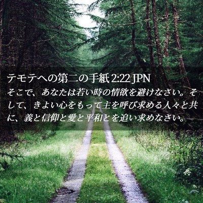 Picture 02 - テモテヘの第二の手紙 2:22 JPN - そこで、あなたは若い時の情欲を避 - Bible Verse Picture