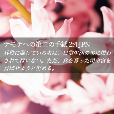 Picture 02 - テモテヘの第二の手紙 2:4 JPN - 兵役に服している者は、日常生活の - Bible Verse Picture