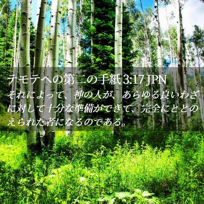 Picture 02 - テモテヘの第二の手紙 3:17 JPN - それによって、神の人が、あらゆる - Bible Verse Picture