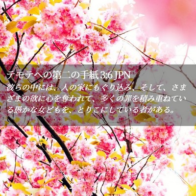 Picture 02 - テモテヘの第二の手紙 3:6 JPN - 彼らの中には、人の家にもぐり込み - Bible Verse Picture